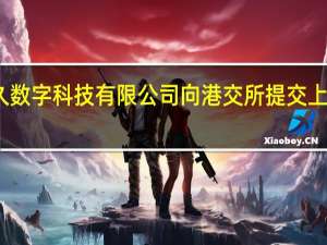长久数字科技有限公司向港交所提交上市申请书