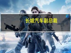 长城汽车副总裁