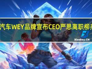 长城汽车WEY品牌宣布CEO严思离职 柳燕或将接任