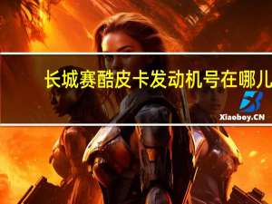 长城赛酷皮卡发动机号在哪儿（长城赛酷皮卡）