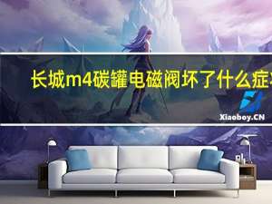 长城m4碳罐电磁阀坏了什么症状