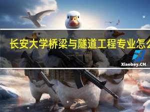 长安大学桥梁与隧道工程专业怎么样
