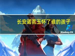 长安诺茗玉怀了谁的孩子