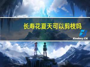长寿花夏天可以剪枝吗