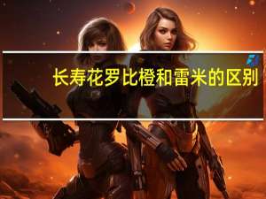 长寿花罗比橙和雷米的区别