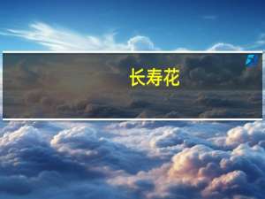 长寿花（关于长寿花的介绍）