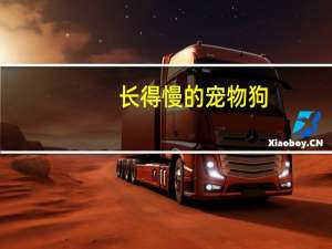 长得慢的宠物狗