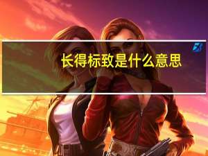 长得标致是什么意思