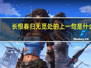 长恨春归无觅处的上一句是什么