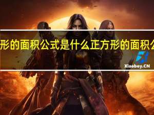 长方形的面积公式是什么正方形的面积公式是什么