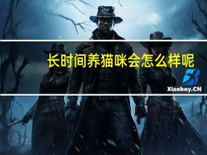 长时间养猫咪会怎么样呢