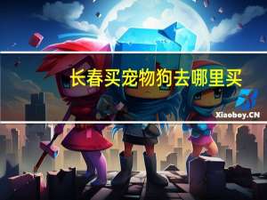 长春买宠物狗去哪里买