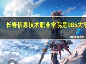 长春信息技术职业学院是985大学吗