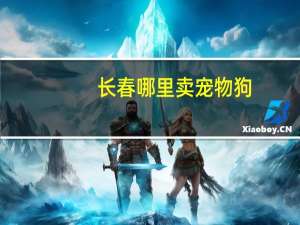 长春哪里卖宠物狗