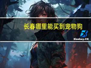 长春哪里能买到宠物狗