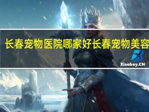 长春宠物医院哪家好 长春宠物美容学校