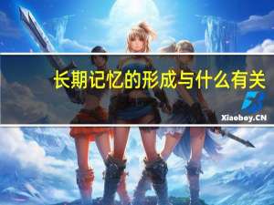长期记忆的形成与什么有关