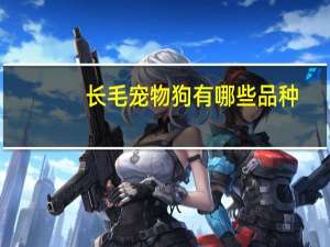 长毛宠物狗有哪些品种