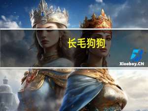 长毛狗狗