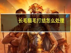 长毛猫毛打结怎么处理