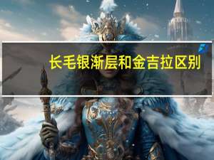 长毛银渐层和金吉拉区别