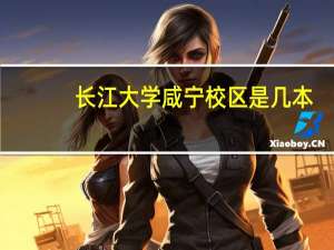 长江大学咸宁校区是几本
