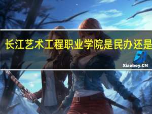 长江艺术工程职业学院是民办还是公办