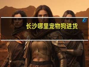 长沙哪里宠物狗进货
