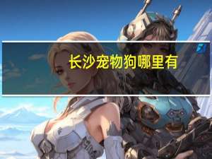 长沙宠物狗哪里有