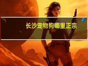 长沙宠物狗哪里正宗