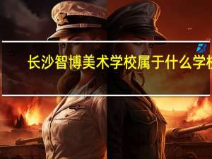 长沙智博美术学校属于什么学校