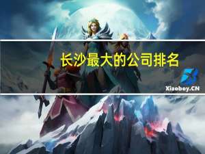 长沙最大的公司排名