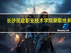 长沙民政职业技术学院录取线多少