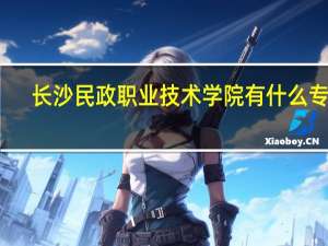 长沙民政职业技术学院有什么专业