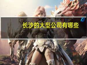 长沙的大型公司有哪些