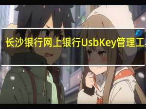 长沙银行网上银行UsbKey管理工具 V1.1 官方版（长沙银行网上银行UsbKey管理工具 V1.1 官方版功能简介）