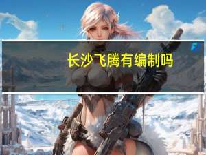 长沙飞腾有编制吗