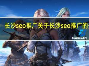 长沙seo推广 关于长沙seo推广的介绍