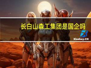 长白山森工集团是国企吗