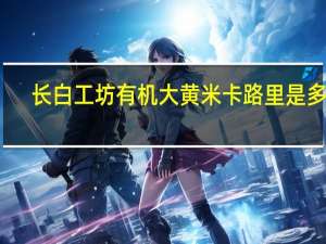 长白工坊 有机大黄米卡路里是多少