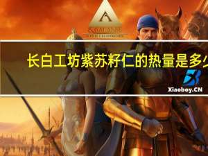 长白工坊 紫苏籽仁的热量是多少