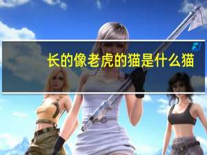 长的像老虎的猫是什么猫
