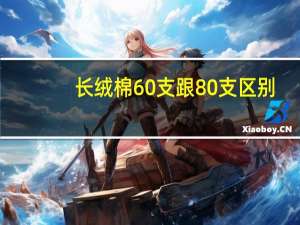 长绒棉60支跟80支区别（长绒棉60支跟80支区别）