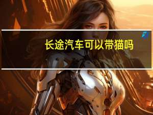 长途汽车可以带猫吗