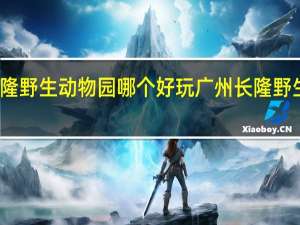 长隆野生动物园哪个好玩 广州长隆野生动物园