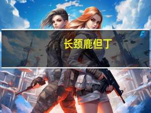 长颈鹿但丁（关于长颈鹿但丁的介绍）