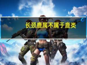 长颈鹿属不属于鹿类