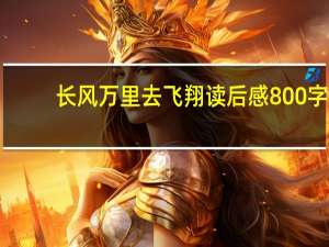 长风万里去飞翔读后感800字（长风万里去飞翔读后感）