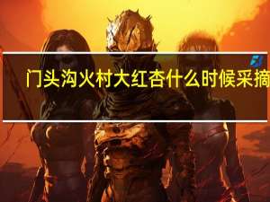 门头沟火村大红杏什么时候采摘呀
