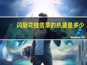 闪厨 花枝雪菜的热量是多少